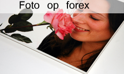 Foto op forex