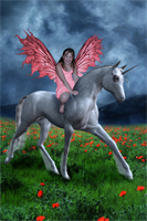 divineangelstudios