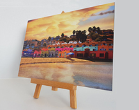 Voorbeeld  Foto op Aluminium 1320