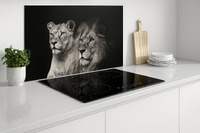 Voorbeeld  Foto op Glas 1508