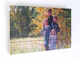 Vegetatie kanaal hoofdstuk Foto op vurenhout 60x90 cm | €89,00