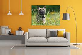 credit bouwen extract Foto op canvas 40x40 cm | €30,95