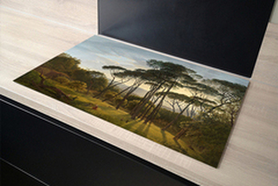 Inductiebeschermer met foto, 50 procent korting!