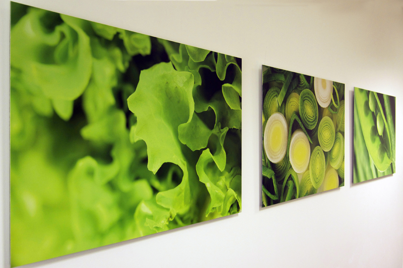 Foto verlijmd op aluminium 40x100 cm Foto verlijmd op aluminium 40x100 cm