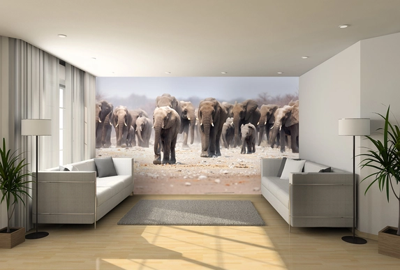 Fotobehang met dieren (kudde olifanten).