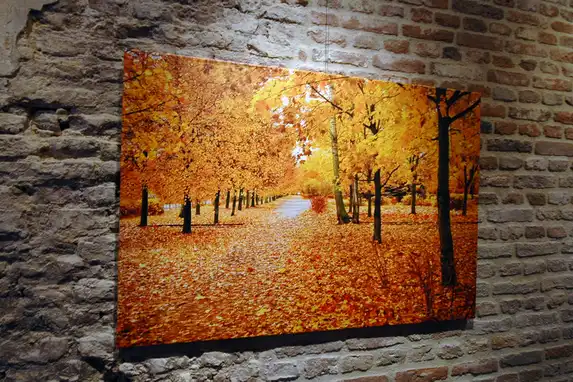 Herfstfoto afgedrukt op fine art canvas.