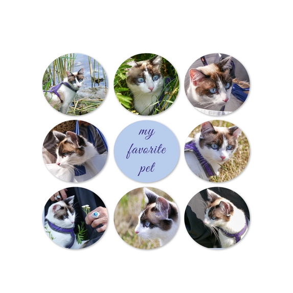 Foto's op cirkels als collage