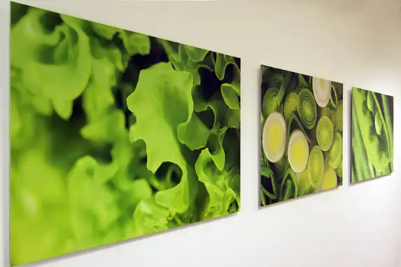 Foto op aluminium met high-end afwerking en scherpe details.