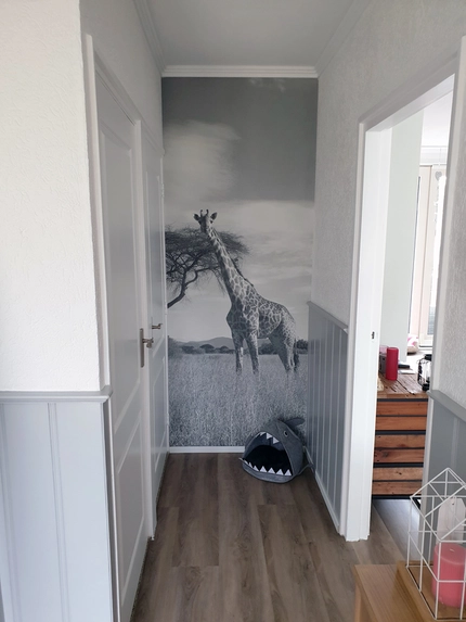 Fotobehang op ieder formaat verkrijgbaar bij Fotogeschenk!