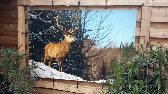 Een tuinposter 100x150 cm kan voor veel buitenplaatsjes het verschil maken!