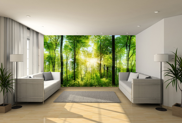 Fotobehang bos natuur wanddecoratie