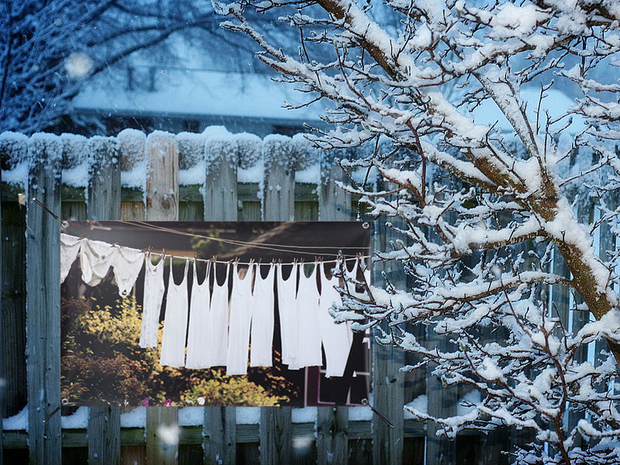 Tuinposter winter tuin